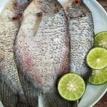 Tips Pilih Gurame Yang Masih Segar