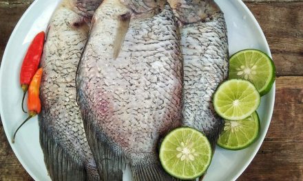 Tips Pilih Gurame Yang Masih Segar