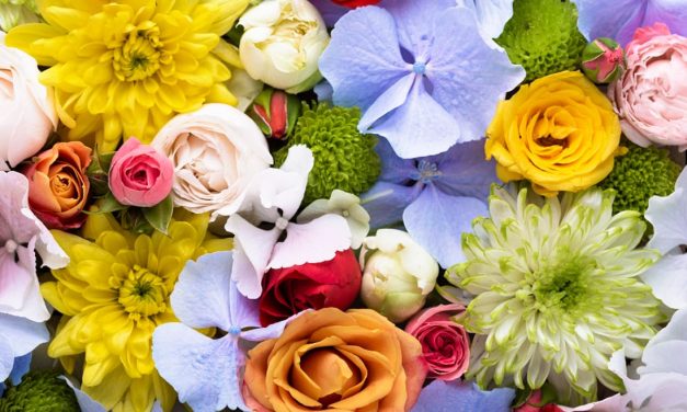 Makna Warna Bunga Dalam Berbagai Budaya