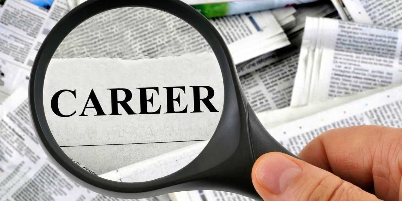 Tren Second Career: Kenapa Banyak Orang Mulai Karier Kedua?