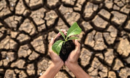 Dampak Perubahan Iklim Bagi Kehidupan Manusia, Lingkungan
