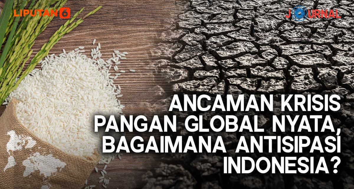 Krisis Pangan Global Mengintai, Bagaimana Posisi Indonesia?
