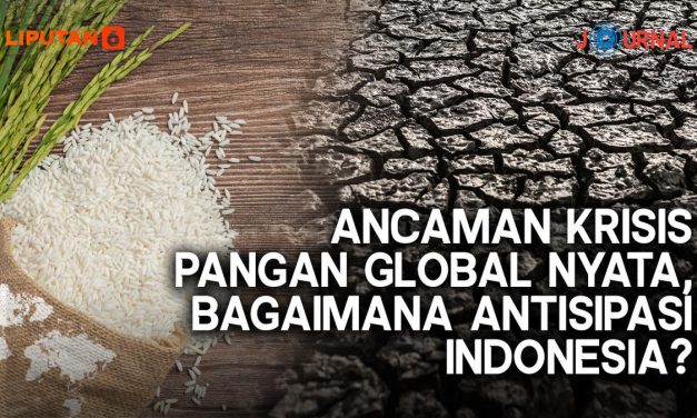 Krisis Pangan Global Mengintai, Bagaimana Posisi Indonesia?