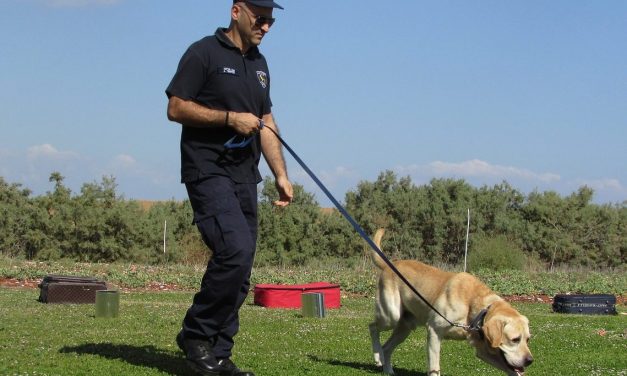 Pelatihan Khusus Anjing K9: Dari Dasar hingga Tugas Lapangan