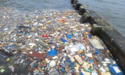 Fenomena Sampah Plastik Yang Sulit Dikendalikan Di Indonesia