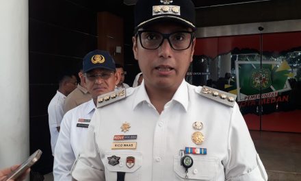 Profil Lengkap Rico Waas: Dari Awal Hingga Kini