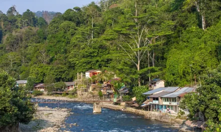 Bukit Lawang: Surga Wisata Alam Dan Orangutan Sumatra Utara