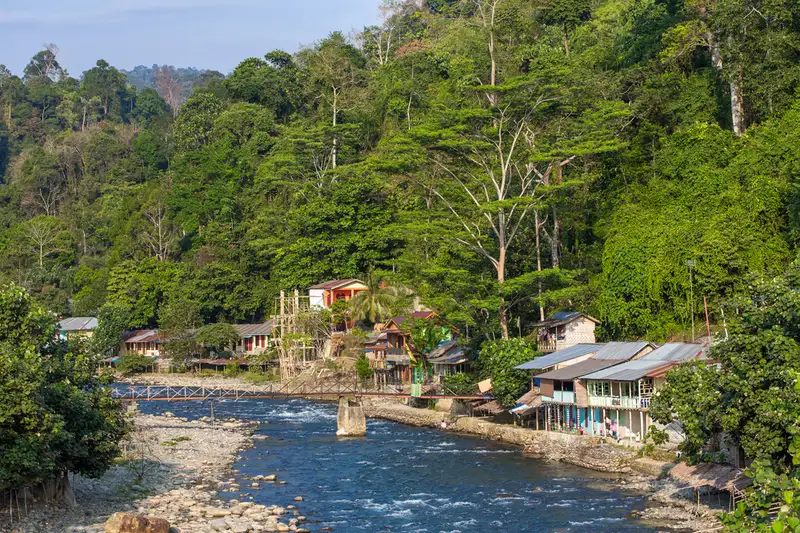 Bukit Lawang: Surga Wisata Alam Dan Orangutan Sumatra Utara