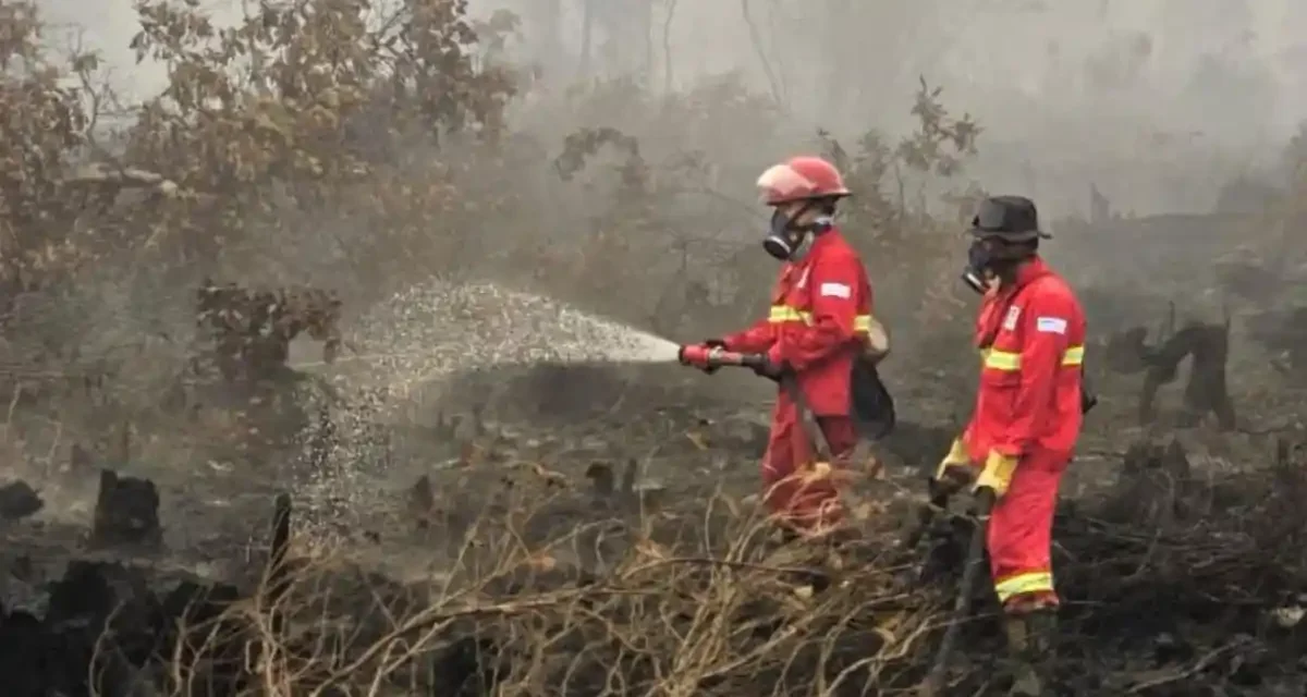Asap Kebakaran Hutan Kalimantan Dan Dampak Bagi Kesehatan