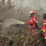 Asap Kebakaran Hutan Kalimantan Dan Dampak Bagi Kesehatan