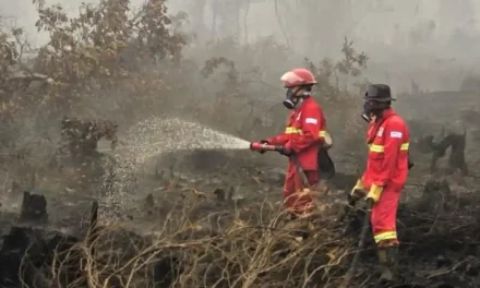 Asap Kebakaran Hutan Kalimantan Dan Dampak Bagi Kesehatan