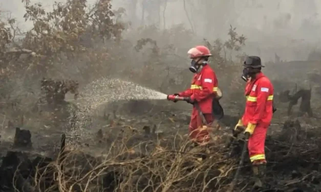 Asap Kebakaran Hutan Kalimantan Dan Dampak Bagi Kesehatan