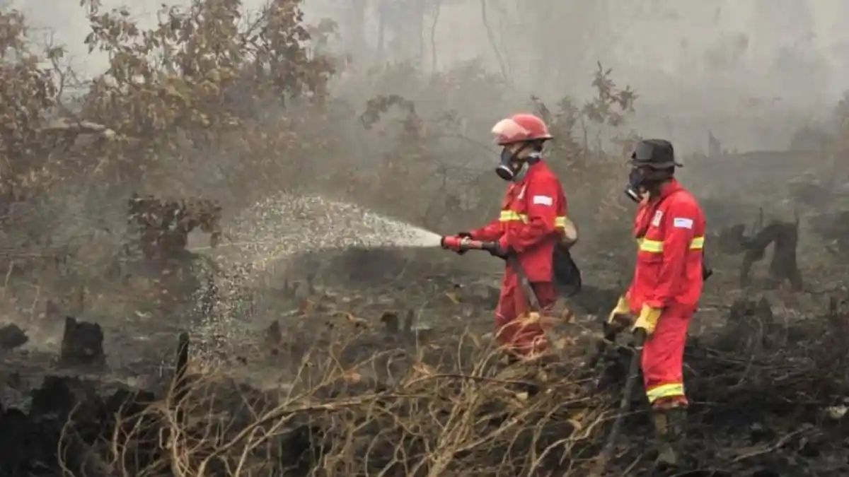 Asap Kebakaran Hutan Kalimantan Dan Dampak Bagi Kesehatan