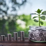Investasi Untuk Pemula: Pilihan Pengelolaan Dana Di Masa Depan