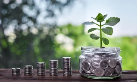 Investasi Untuk Pemula: Pilihan Pengelolaan Dana Di Masa Depan