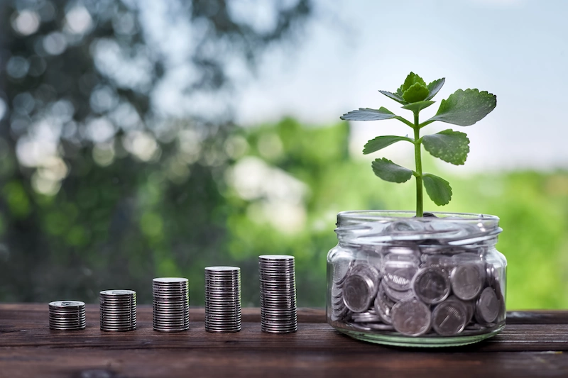 Investasi Untuk Pemula: Pilihan Pengelolaan Dana Di Masa Depan