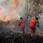 Kebakaran Di Indonesia: Faktor Penyebab, Dampak Lingkungan
