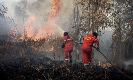 Kebakaran Di Indonesia: Faktor Penyebab, Dampak Lingkungan
