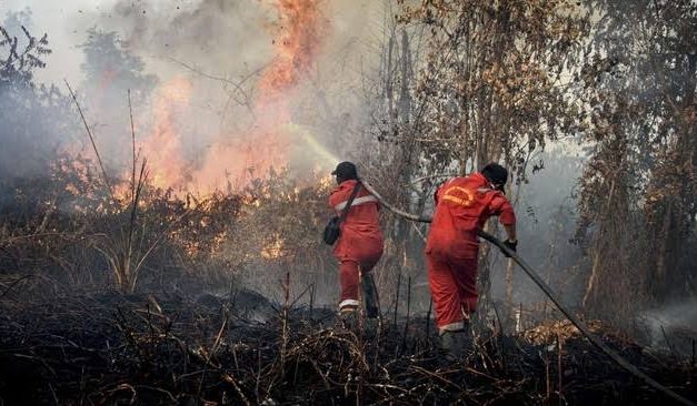 Kebakaran Di Indonesia: Faktor Penyebab, Dampak Lingkungan