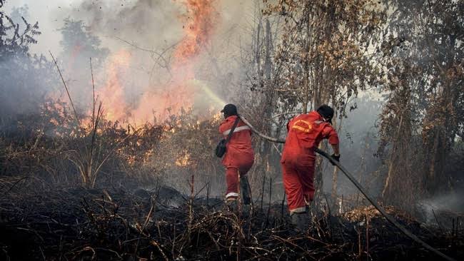 Kebakaran Di Indonesia: Faktor Penyebab, Dampak Lingkungan