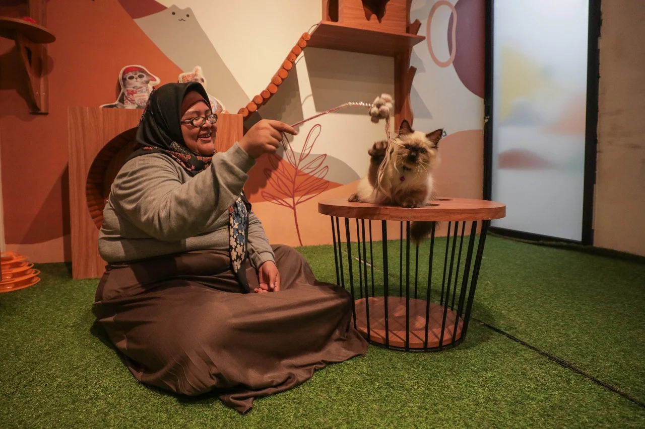 Perawatan Hewan: Peluang Bisnis Meningkatnya Pelihara Hewan